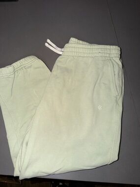 Everlane Mint Green Drawstring Track Pants